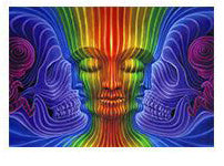 Abstract Psychedelic Alex Poster Canvas Painting