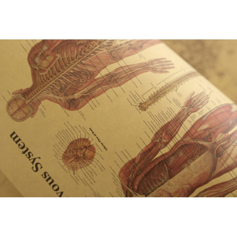 Human Body Narrator Nervous System Kraft Paper Retro Poster