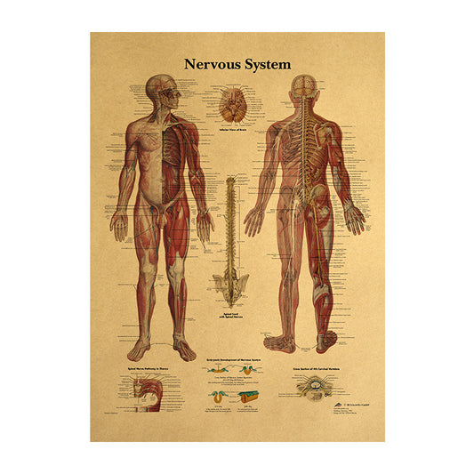 Human Body Narrator Nervous System Kraft Paper Retro Poster