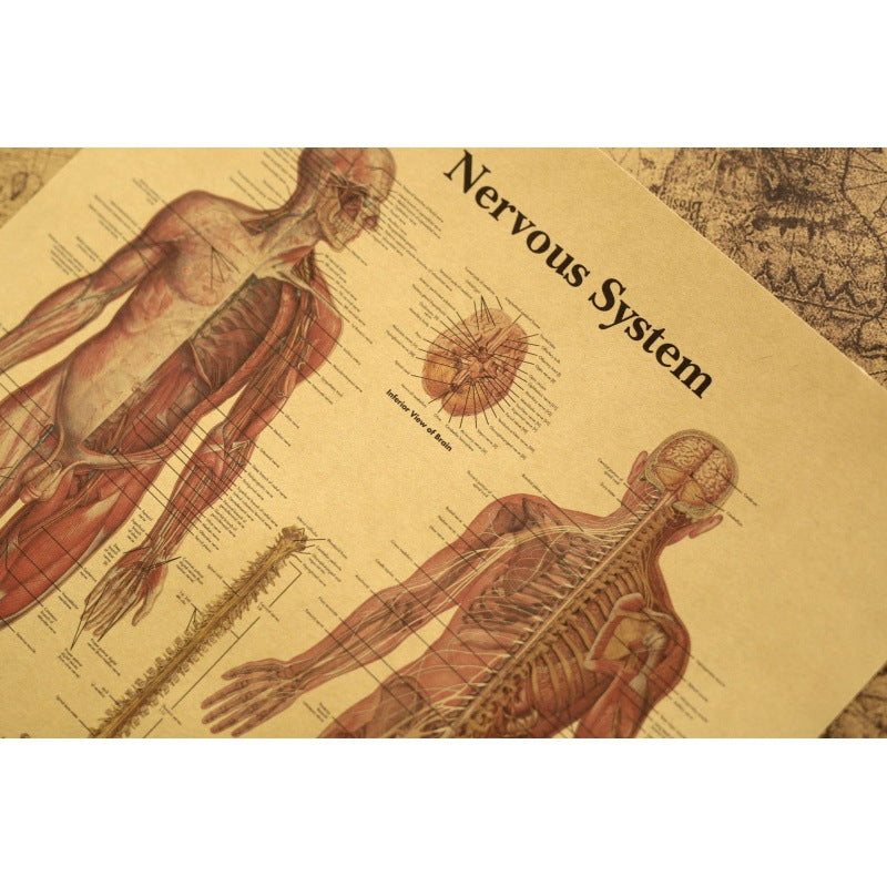 Human Body Narrator Nervous System Kraft Paper Retro Poster