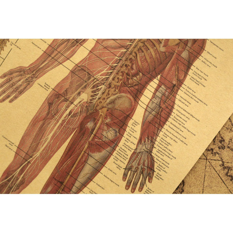 Human Body Narrator Nervous System Kraft Paper Retro Poster